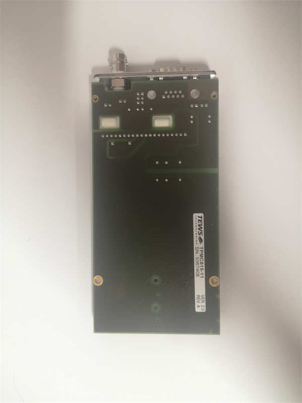 TEWS TPMC815-11