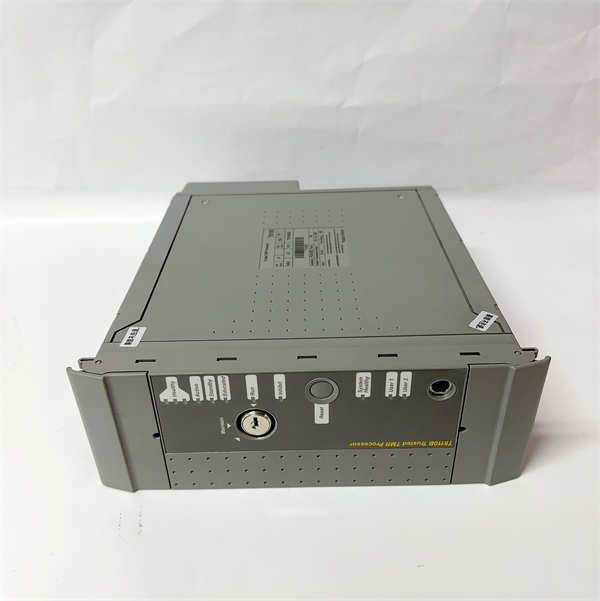 ICS TRIPLEX T8110B